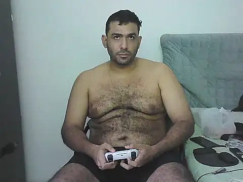 IronSideBear
