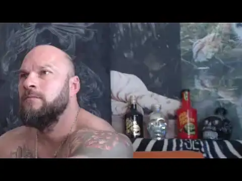 viking_30