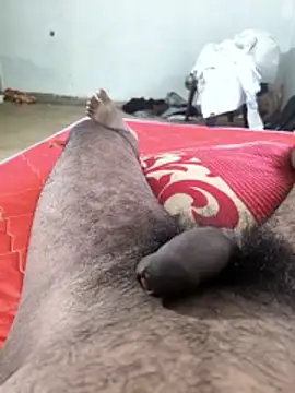 ajind23 - Ajind23's free webcam - UK Sex Cams