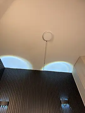 kendall_coxx