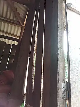 Ngocmi909