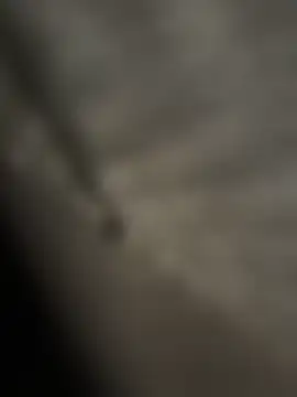 Preview of bigdeal698