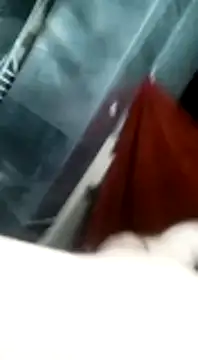 Preview of bulbasaurismettv