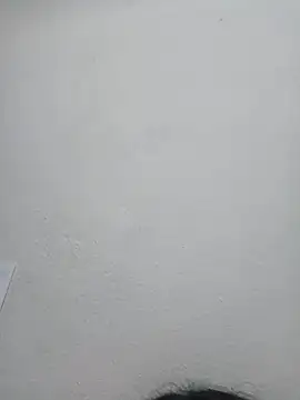 Xocorazoon
