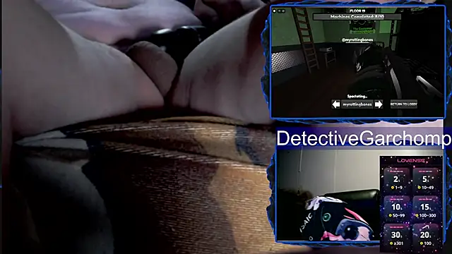 Preview of detchompy