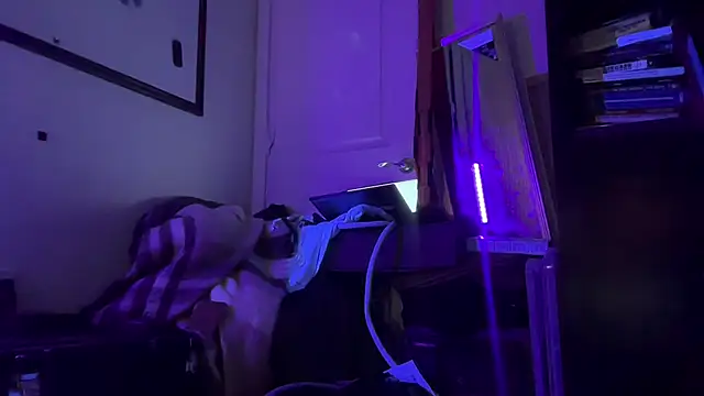 southfljason305 (Ask my age) - Big thrusting dildo in me