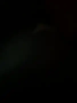 Preview of 13lgr3d