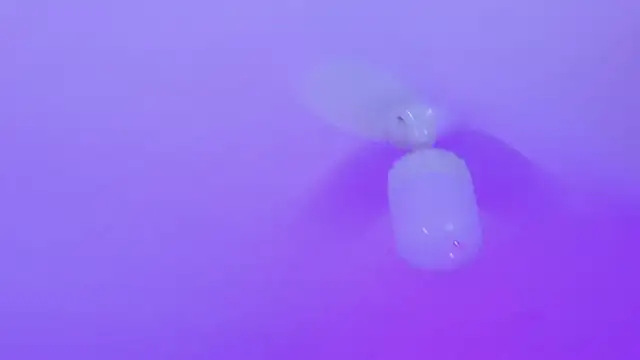 megan_lenon