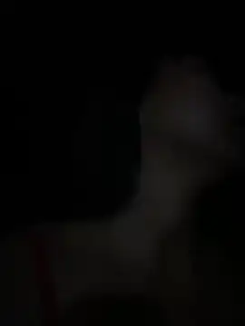 Preview of juliet_official_pro