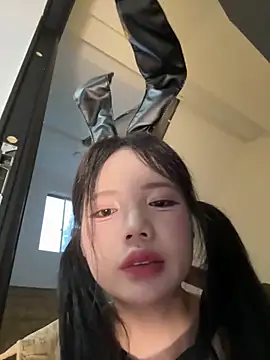 Pippin-19 webcam
