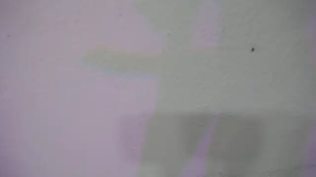 Ella_Brookss