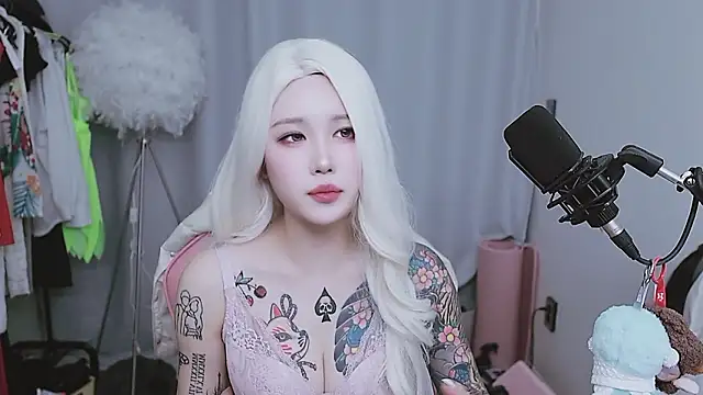 MISA_02 webcam