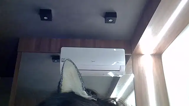 SkinnyKitten webcam
