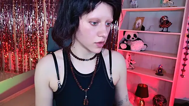 LidaDarknet