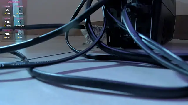 MorganHicks webcam