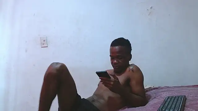 pircohg webcam
