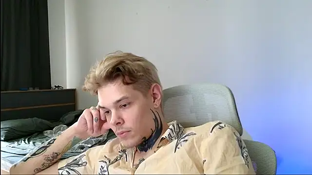 DENIS_HERE webcam