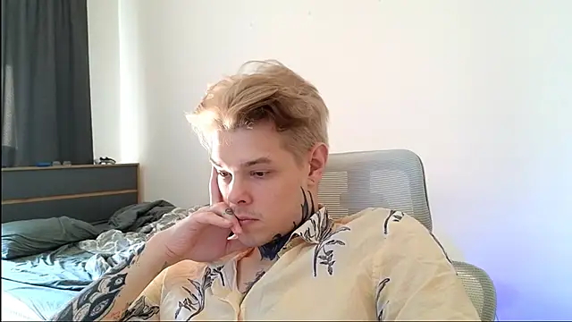 DENIS_HERE webcam