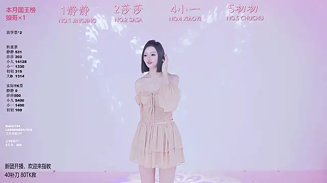 TY-002 webcam