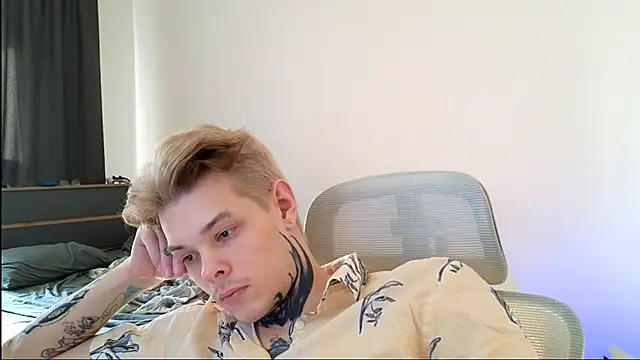 DENIS_HERE webcam