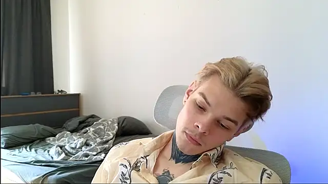 DENIS_HERE webcam