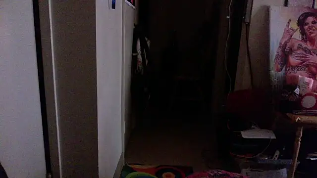 LSDsexslave webcam