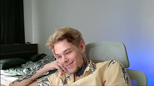 DENIS_HERE webcam