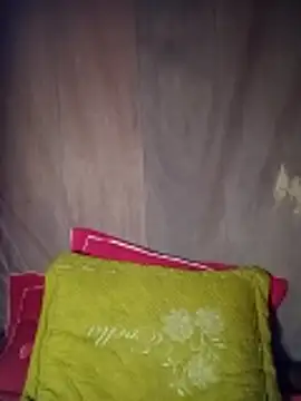 toyo_668 webcam