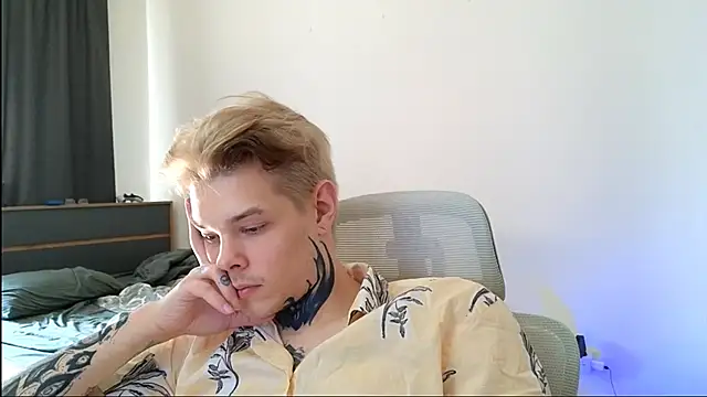 DENIS_HERE webcam