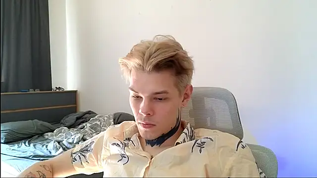 DENIS_HERE webcam