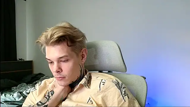 DENIS_HERE webcam