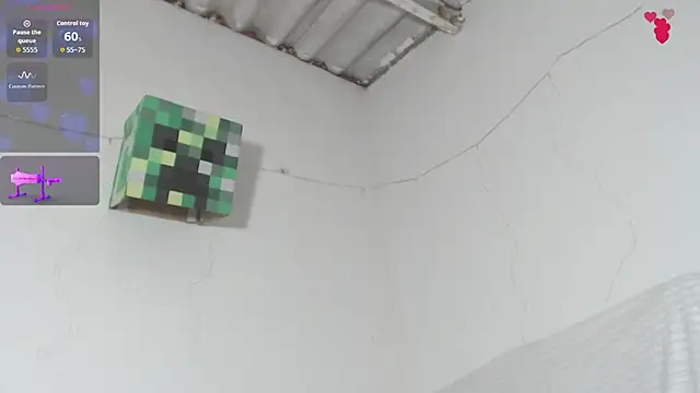 BiirdyDavis webcam