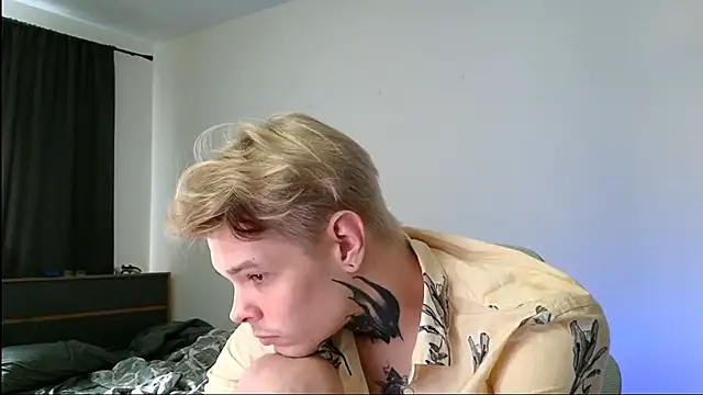 DENIS_HERE webcam