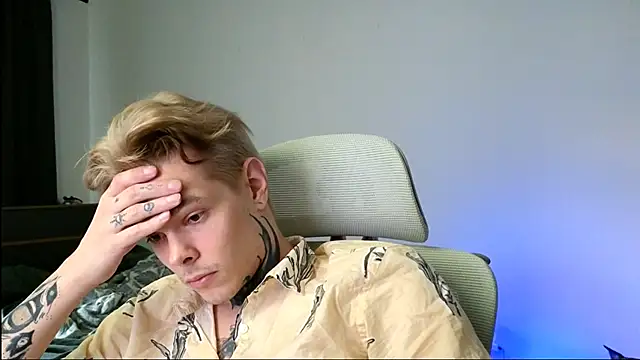 DENIS_HERE webcam