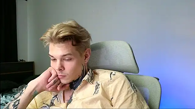 DENIS_HERE webcam