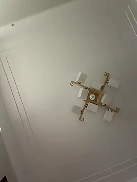 _WETSAND_ webcam