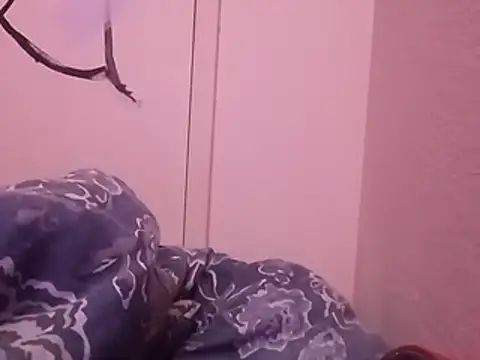 Blkstylion webcam