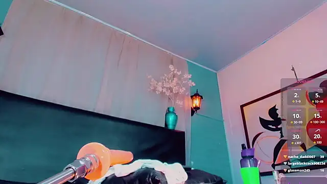 _ChanellR_ webcam