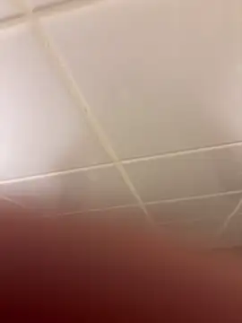 pete4445 webcam