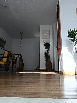 Siriss_boyrag webcam