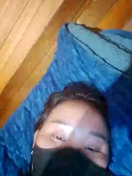 Td3di webcam