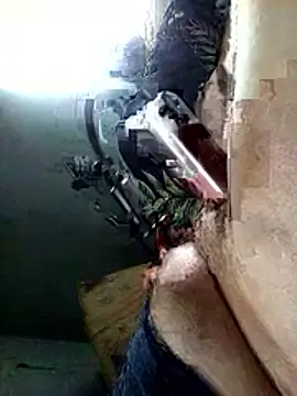 Jarektchurzewski webcam
