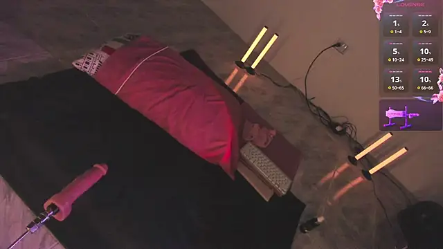 Vnus_ webcam