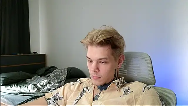 DENIS_HERE webcam