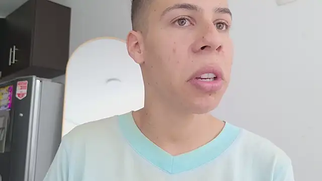 grey___27 webcam
