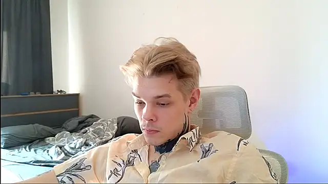 DENIS_HERE webcam