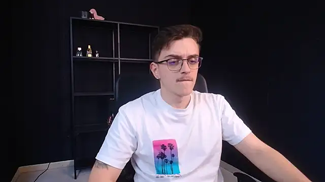 FelixStarkk webcam