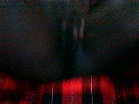 _Fikina webcam