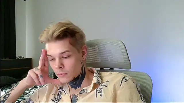 DENIS_HERE webcam
