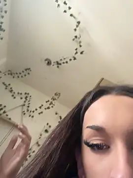 lazoe69